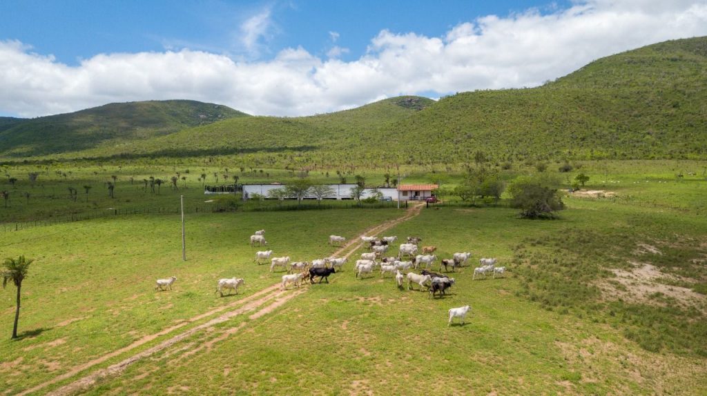 Fazenda a venda no município de Santa Terezinha Bahia