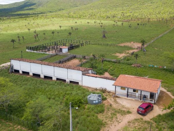 Fazenda a venda no município de Santa Terezinha Bahia